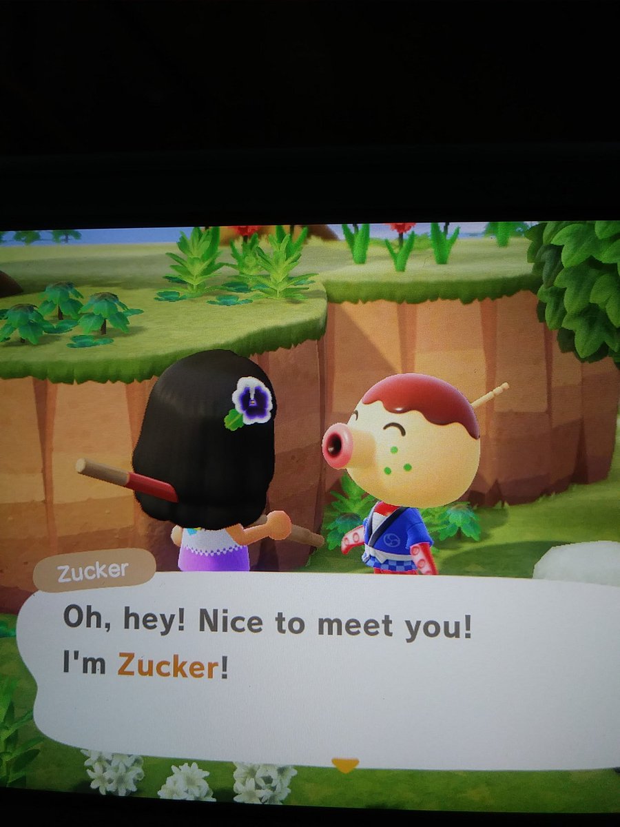 Astro_Feline's tweet photo. 2nd day, 4th island traveled to
AND I FIND ONE OF MY DREAM VILLAGERS????
AAAAAaaaaahhhh https://t.co/r4LOpA35Oi
