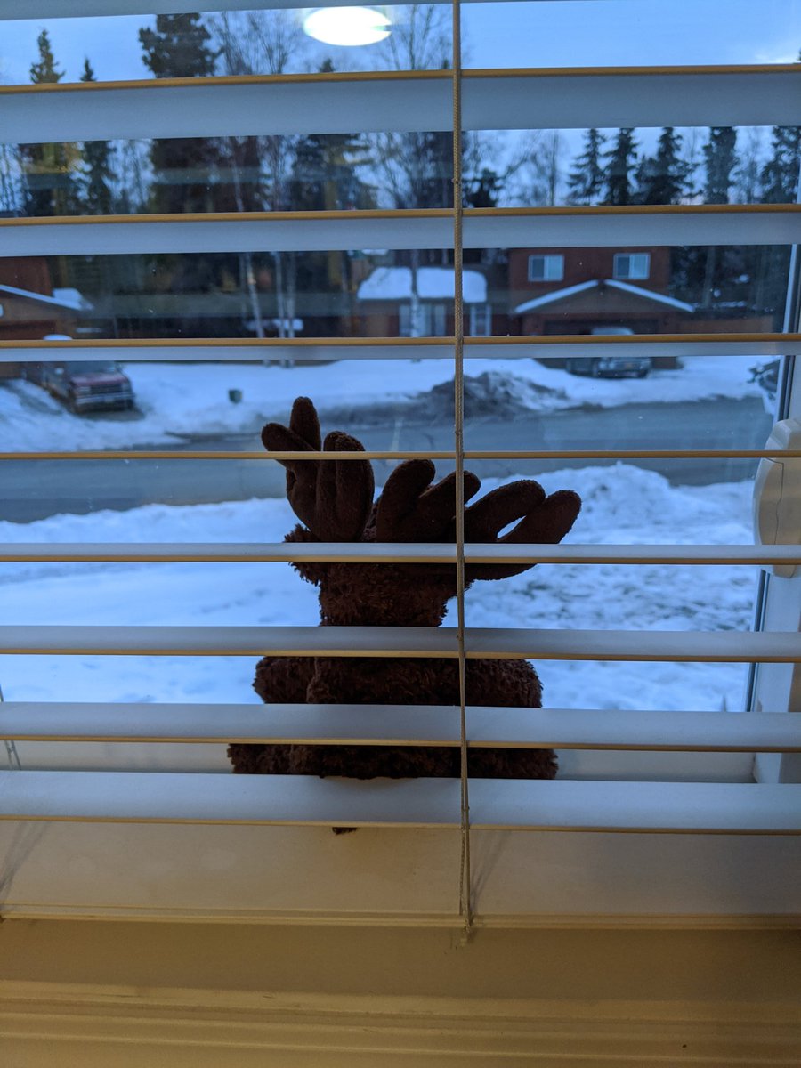 Laurie L. Nusbaum tweet media