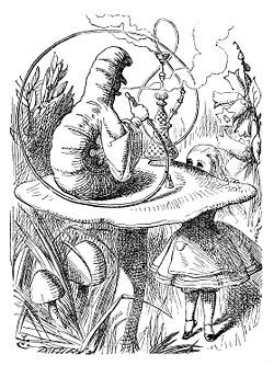 Familoo's tweet photo. “Who *are* you?” said the caterpillar... “I hardly know, sir, just at present - at least I know who I was when I got up this morning, but I think I must have been changed several times since then.”
Some sort of strange Wonderland life we are living now, isn’t it? #ImAlice https://t.co/81yUbNAH3T