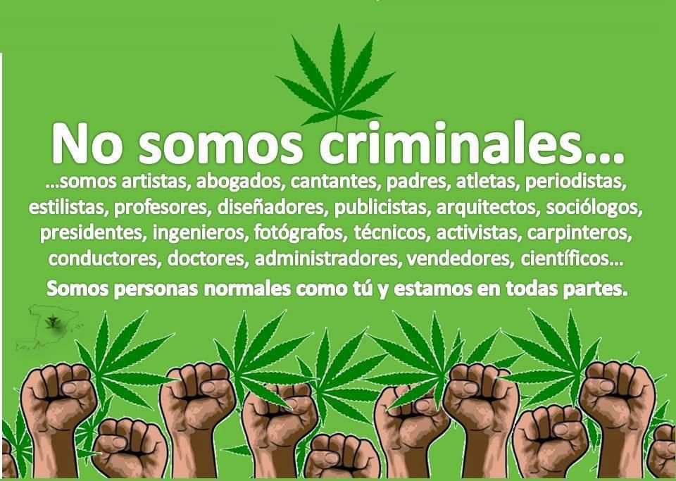 lourdescr3's tweet photo. Lo tenemos todo en contra, no permiten distribuir ni a Asociaciones ni a Clubes. Tiempo más que jodido para las compañeras y compañeros que son usuarios medicinales, y no son cultivadoras/es. #ElDolorCronico no entiende de cuarentenas, vive contigo las 24h.
#YoCompartoMisCogollos https://t.co/5lTzYytxSk