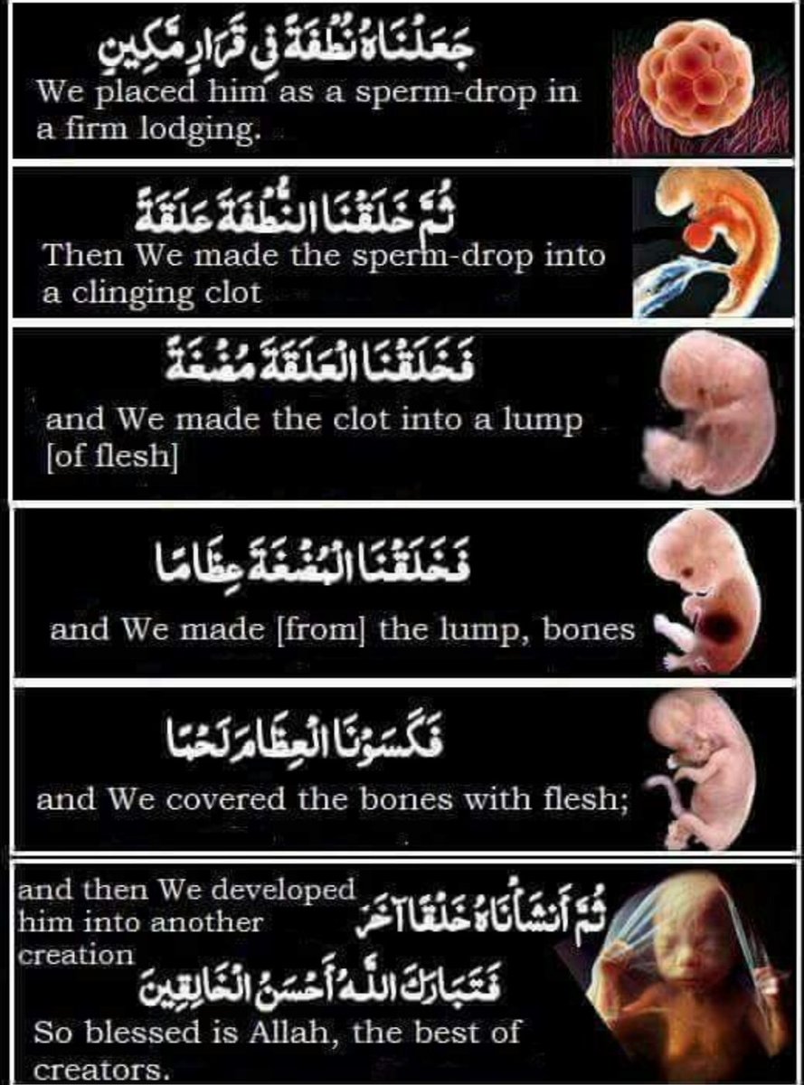 QHhour's tweet photo. Allah mentioned this 1400 years ago to prophet Muhammed pbuh. #Allah #Islam #Muslim #Muslims #Quran #Arabic #lord #god #onegod #repent #forgiveness #merciful #mostmerciful #Hadith #prophetmuhammad #prophet #paradise #help #wordofallah #wealth #poor #poverty #rich #saudiarabia #uk https://t.co/bh1pFrWZel