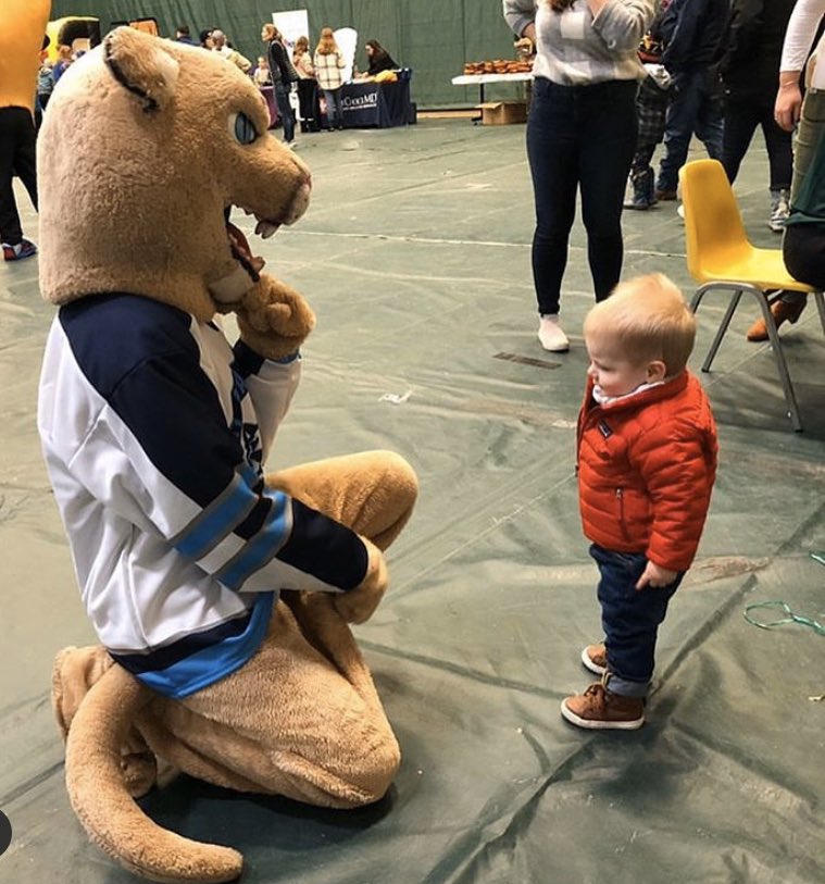 David Marlow tweet media