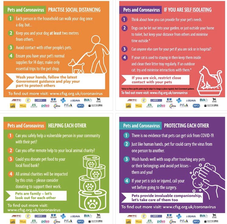 We’ve joined with other animal welfare organisations to help people keep themselves and their pets safe at this time 💛🐶 #ComfortInCrisis 
If you need some new ideas to keep your dog entertained indoors... we've shared our top tips here 👉 bit.ly/2WN2vuI