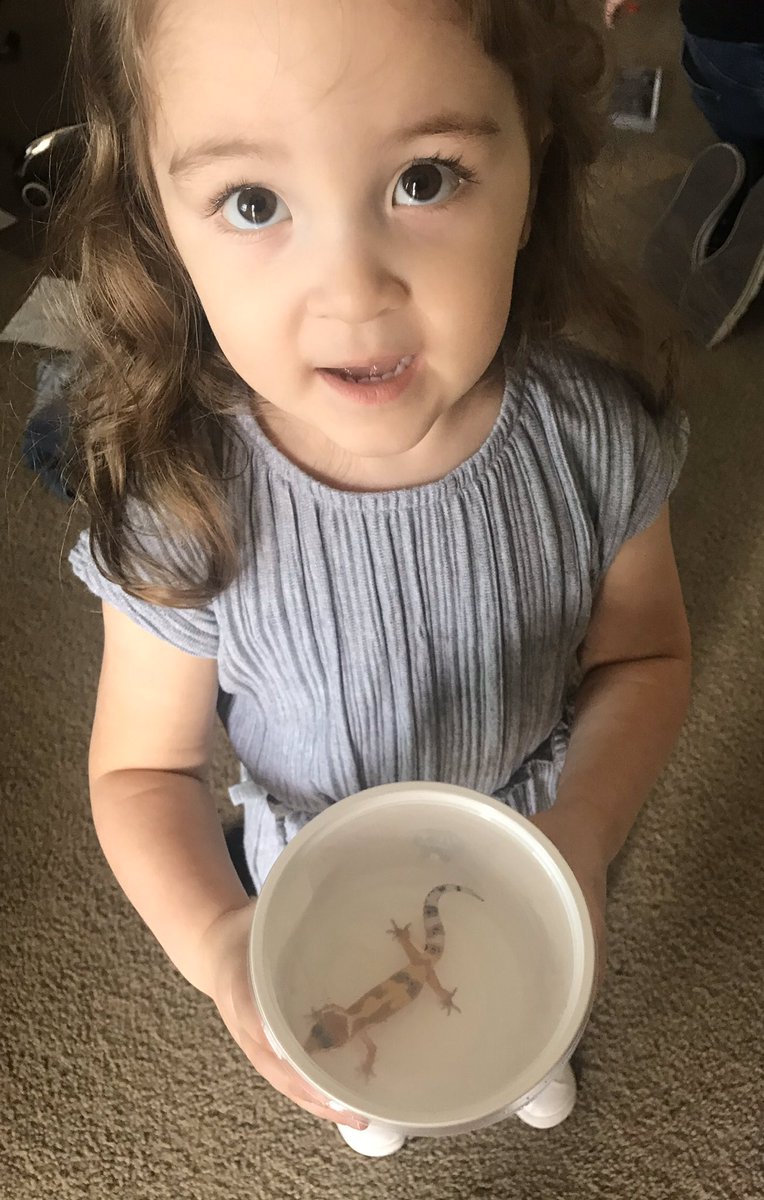 ElsieFaro's tweet photo. @dougducey Please order a shelter in place! This is my daughter who was a preemie born at 29 weeks. She spent 2 months in the NICU and spends a few nights every winter in the hospital due to her severe asthma #ProtectTheVulnerable #LockDownArizona #ShelterInPlace #LockdownForLove https://t.co/4auvCTW6A3