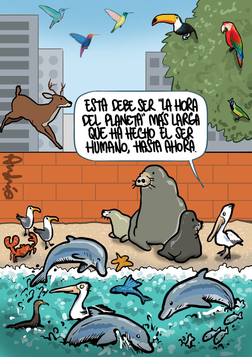 crar99's tweet photo. Los niños son un amor...

- Pero si los tienes en casa día y noche noooooo!!!

😆😅😂🤣
Buenos días !!
#FelizSabado #CODVID19 #Covid_19 #ChistesOrdonez #CuarentenaCoronavirus #UnidosVenceremos https://t.co/6S5lUiZgdK