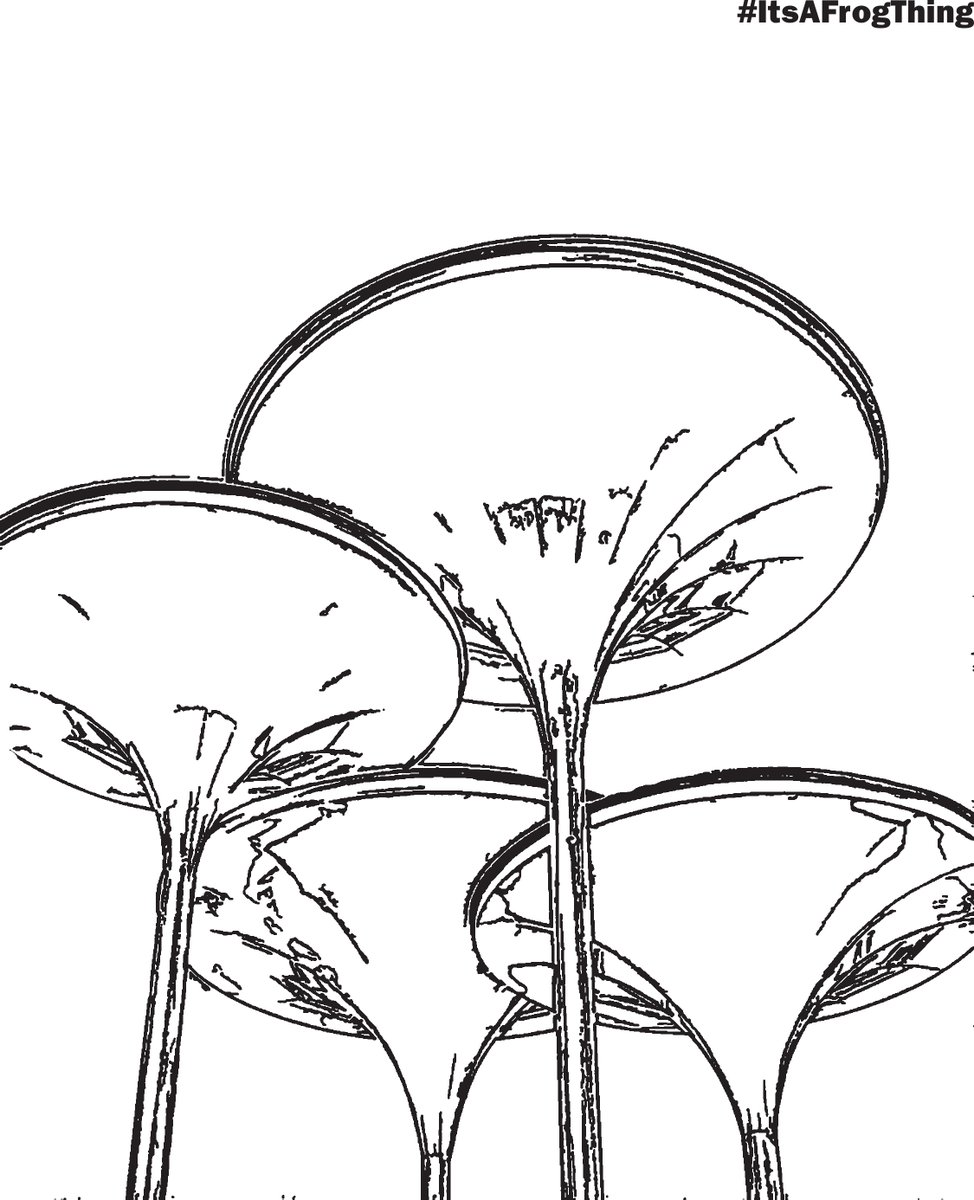 Tcu On Twitter Looking For Things To Do Around The House