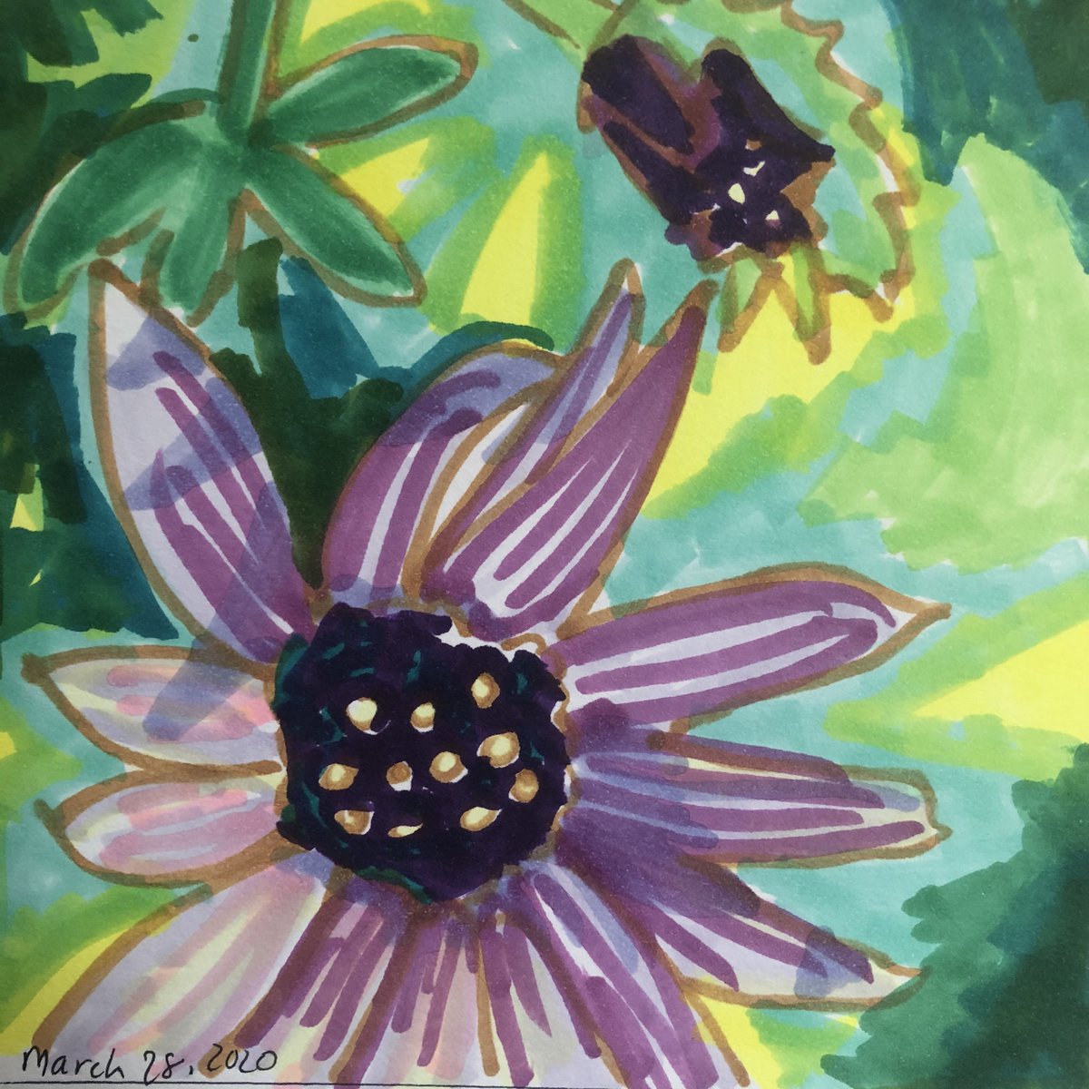 Purple daisy  #art366