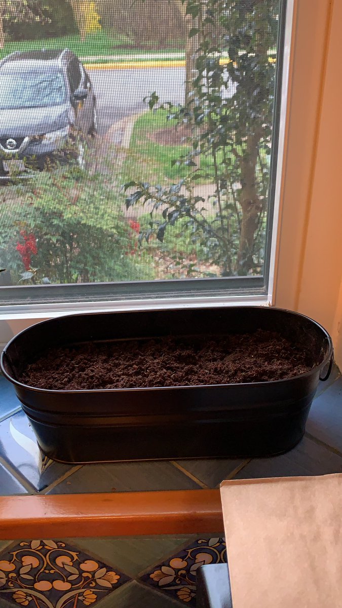 Spent the afternoon gardening! Stay updated to see what I planted 🌱❔