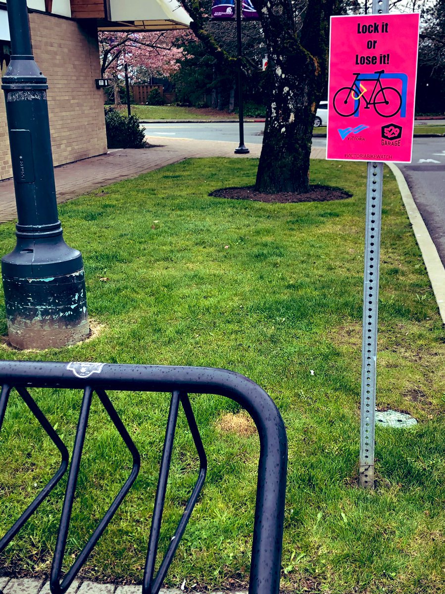 Brook Castelsky tweet media