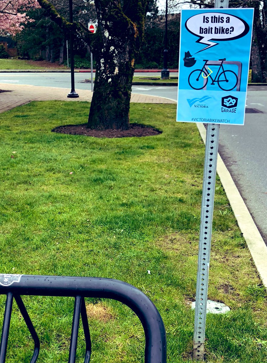 Brook Castelsky tweet media