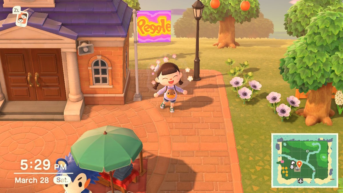 Kimmander's tweet photo. team #AnimalCrossing #ACNH #NintendoSwitch https://t.co/WOuuf99LmU