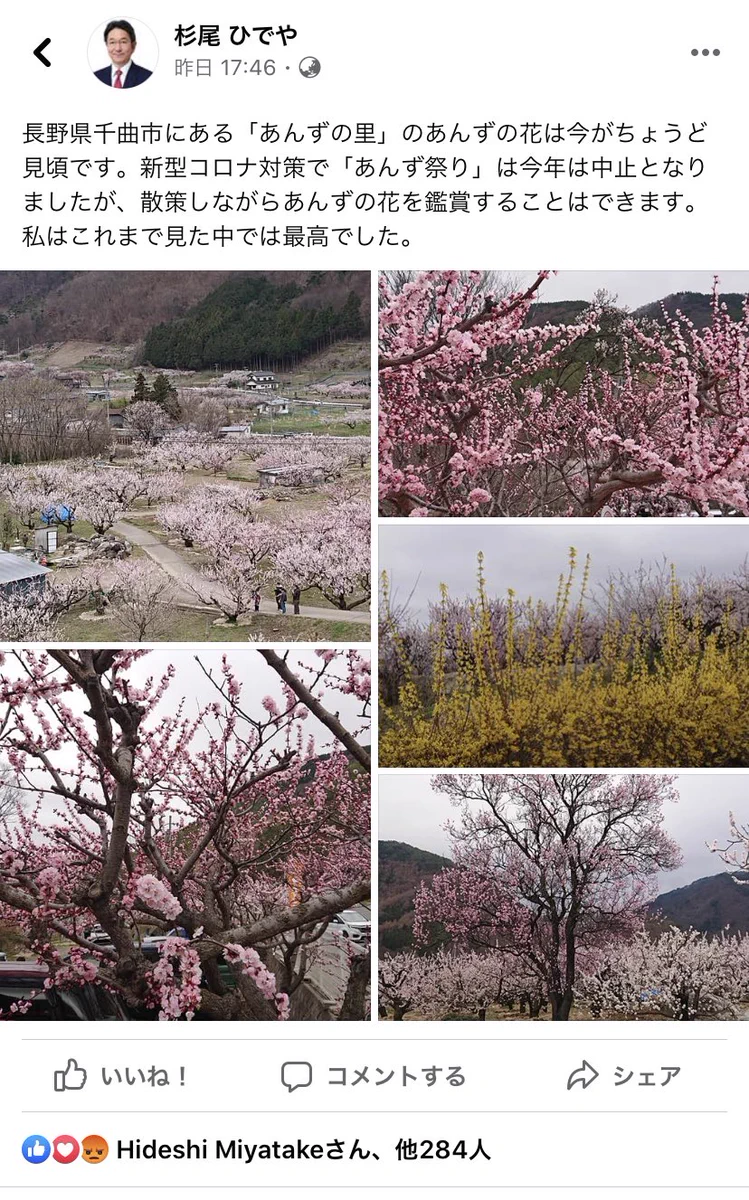 立憲民主党の杉尾議員が花見をしたと思われる写真を投稿するも既に削除ｗｗｗ