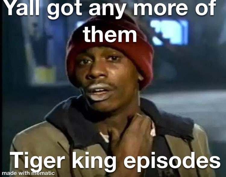 Bex0316's tweet photo. It’s not so much the docuseries -but the memes that make this all worth while #TigerKing https://t.co/AjmtSAUk4a