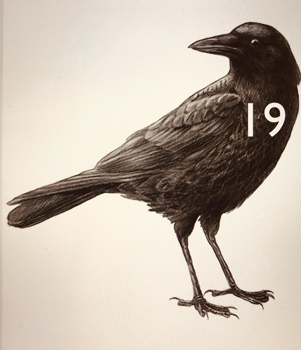 Corvid-19