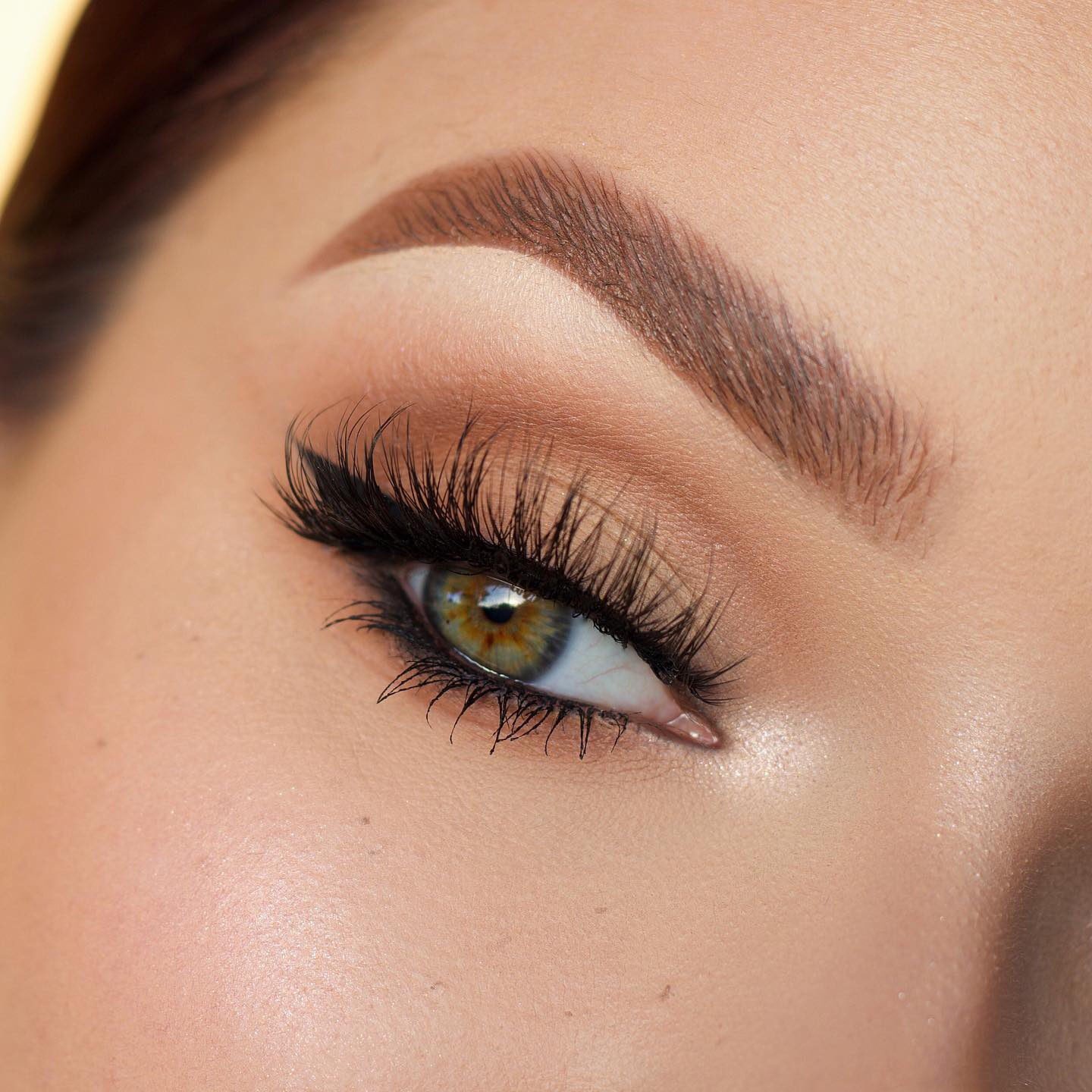 Sigma Beauty on X