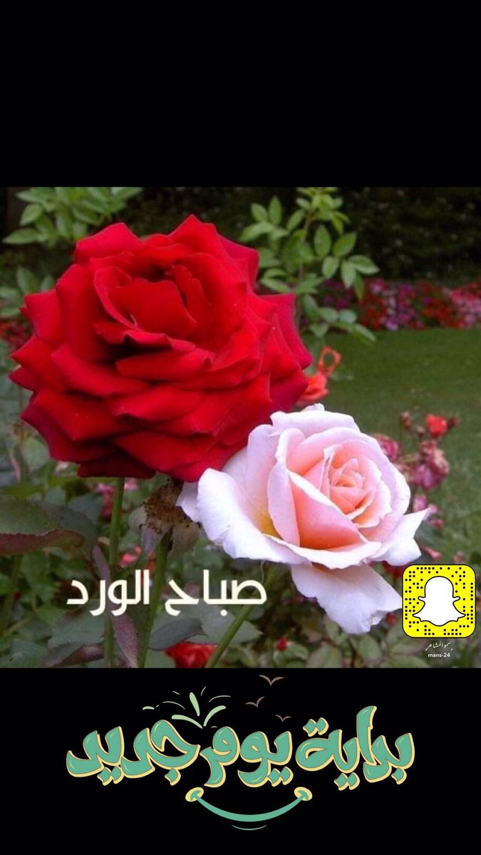 Eshqy_Eyounk's tweet photo. https://t.co/LpzNGL9uZk