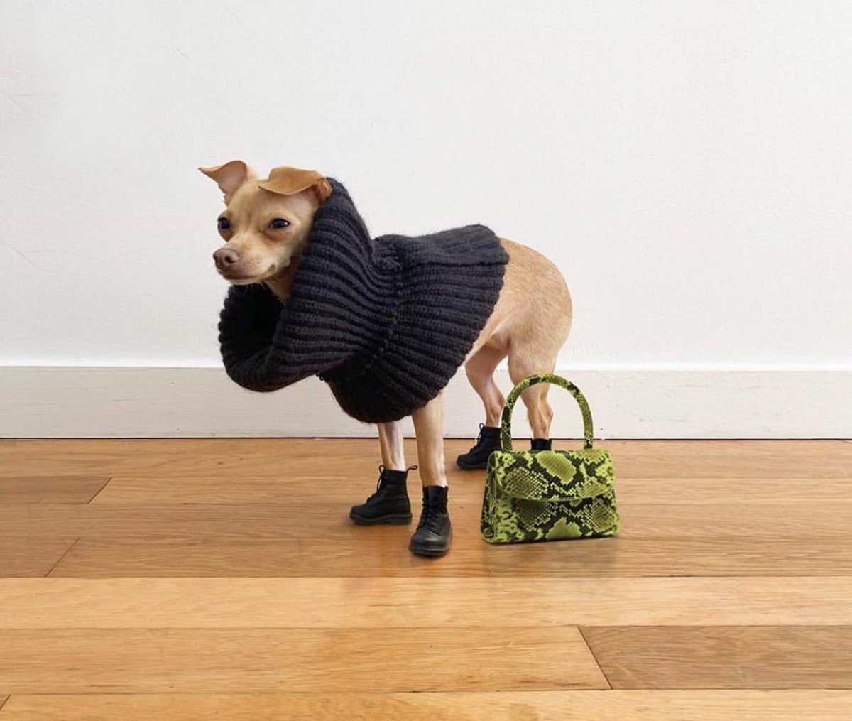 ribbonformyhair's tweet image. Looks.