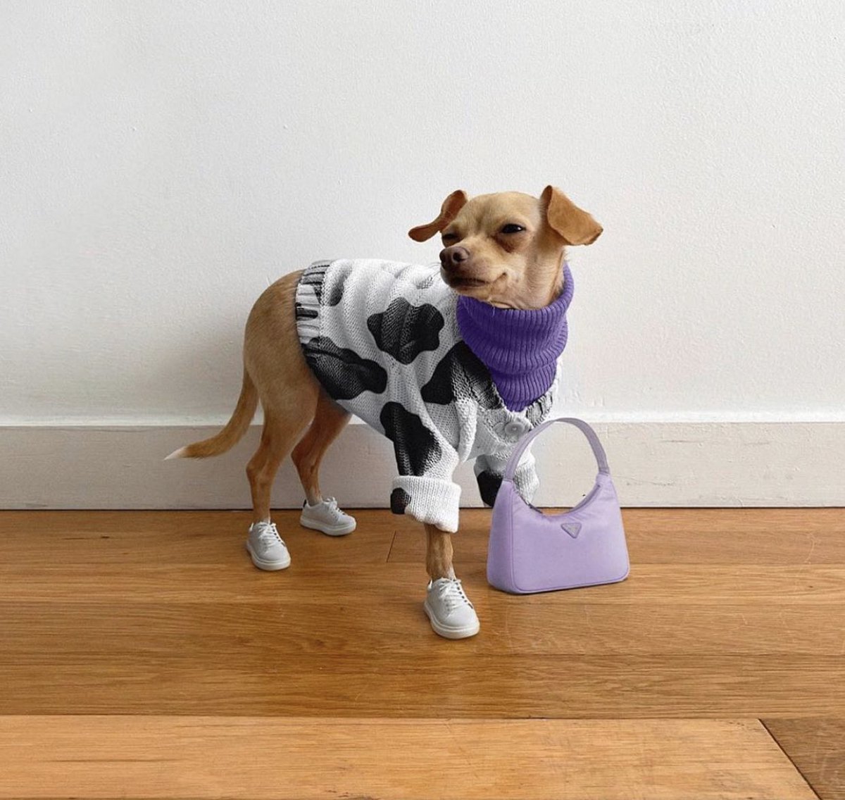 ribbonformyhair's tweet image. Looks.