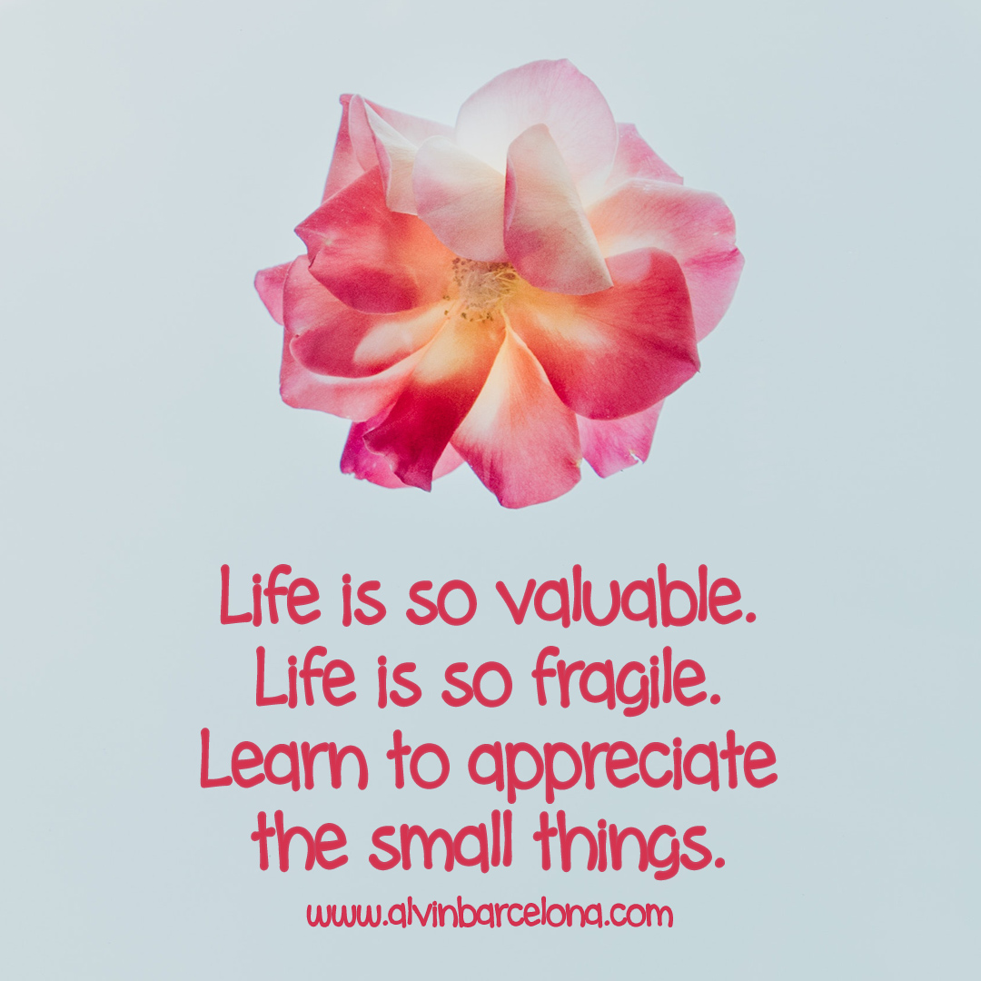 Learning to Appreciate the Small Things