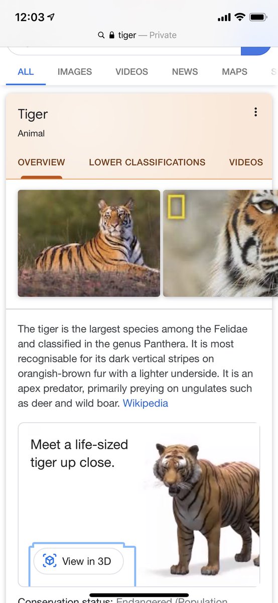 google animal hologram