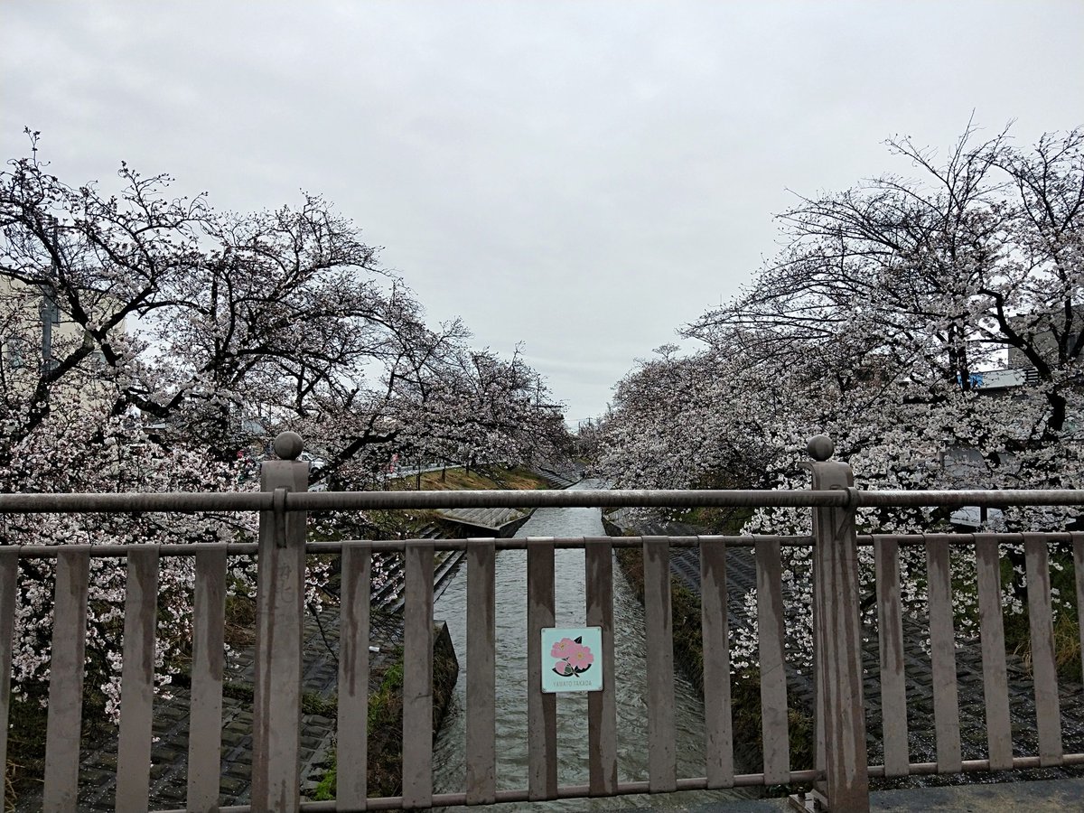 大和 高田 天気