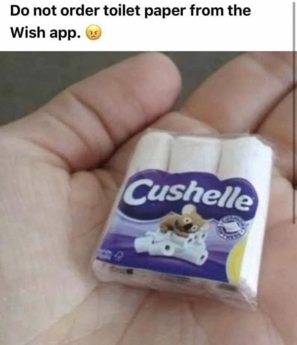 dailydoseofdora's tweet image. Wish app, You done me wrong 
#cushelle #palmsized #useurhand