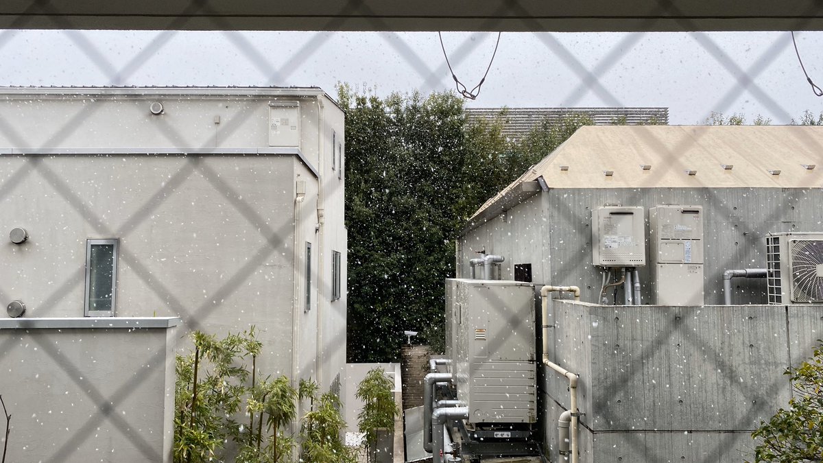 uschwering's tweet photo. #Japan It’s cold, it snows in #Tokyo ... With the infection rate surging maybe the weather can what politicians can’t: Convince negligent people to stay home and practice physical or #SocialDistancingNow against  #Coronavirus @Weltspiegel_ARD https://t.co/2ARMennVbi