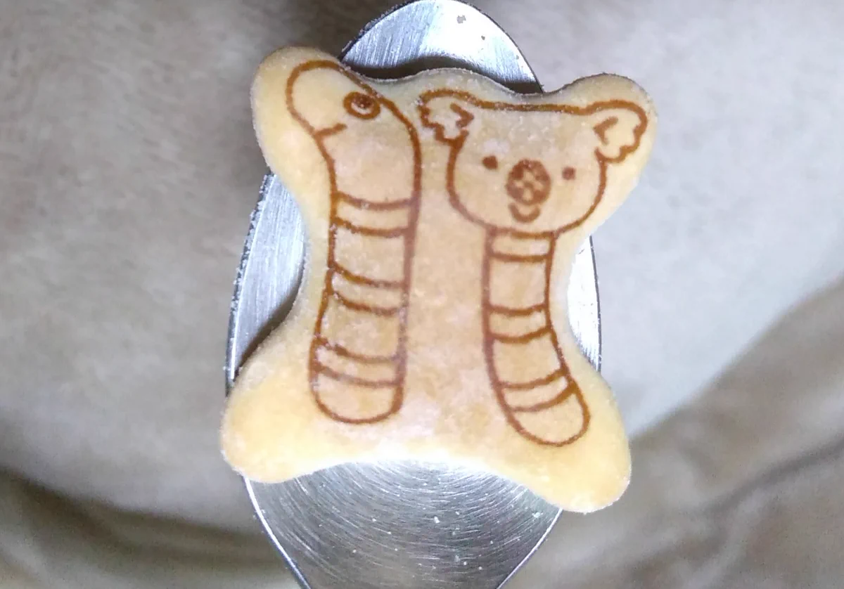 【チンアナゴ×コアラ】みんなの中身予想がひどすぎて笑えるwww