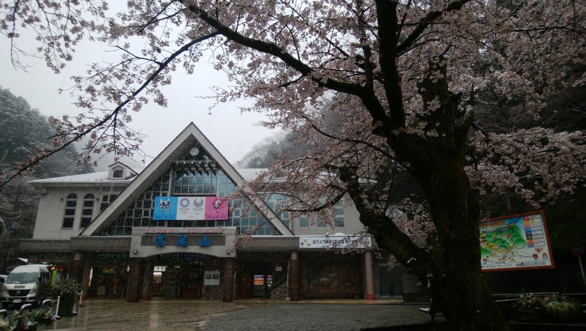 高 尾山 コロナ