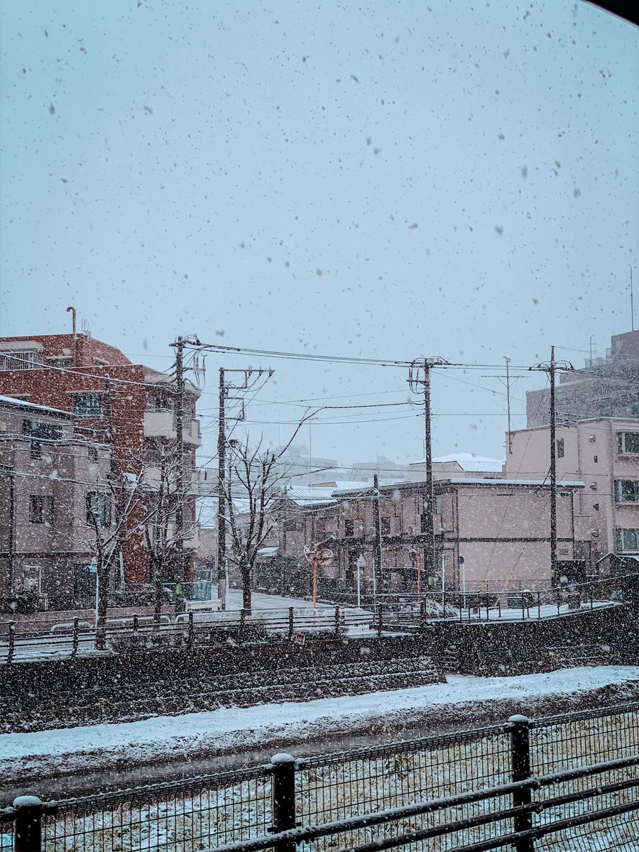 Wasistha Weesenha Putri On Twitter Snowfall In Spring Sakura