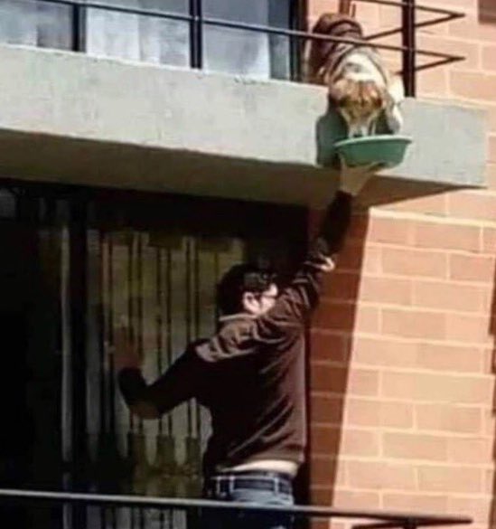 ValaAfshar's tweet photo. Somewhere in Spain... 

He found out that his neighbor was in the hospital. So he never stopped feeding the neighbor’s dog. 

#SpainStrong 🇪🇸 https://t.co/GoY6thAtZ0