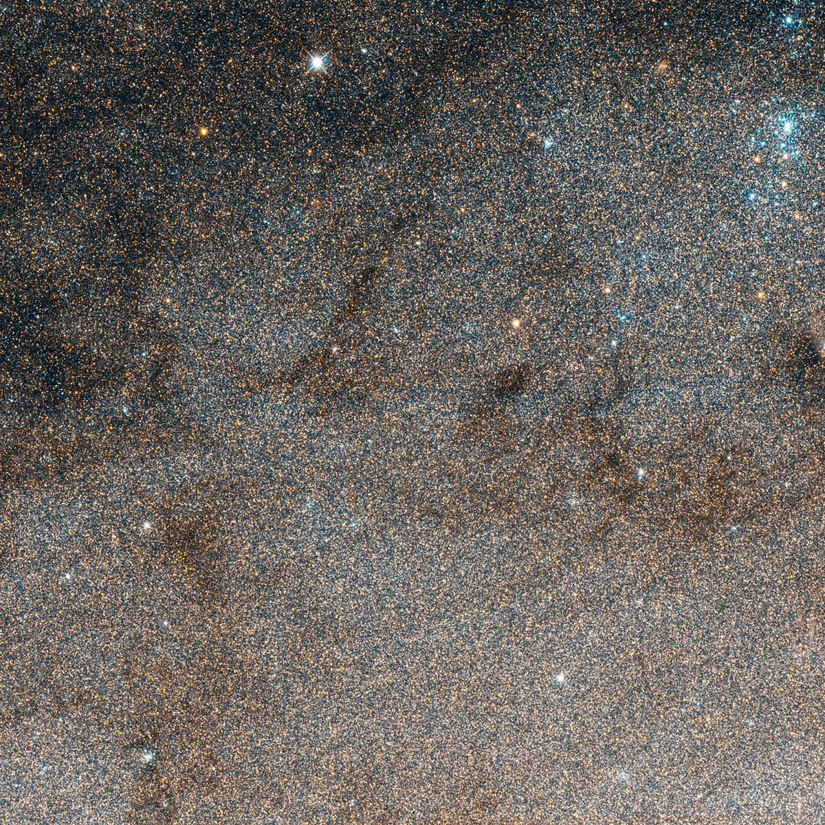 This patch of the Andromeda Galaxy contains the Cepheid variable star V1 that Edwin Hubble used to establish Andromeda as a separate galaxy, and not a nebula within the Milky Way.Image: NASA, ESA and the Hubble Heritage Team (STScI/AURA)