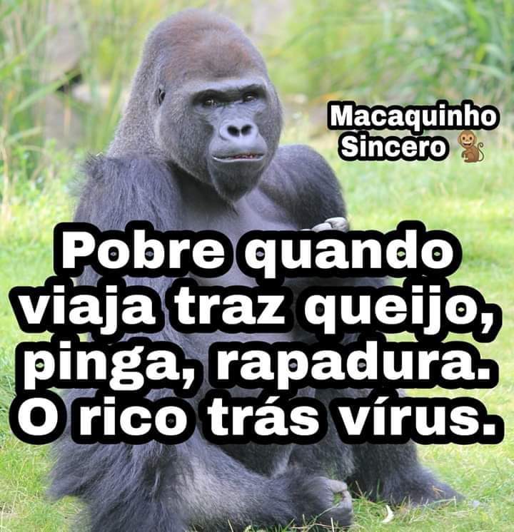 Macaco Sincero - Macaco Sincero added a new photo.