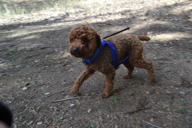 あぐらイス Twitter Search Twitter