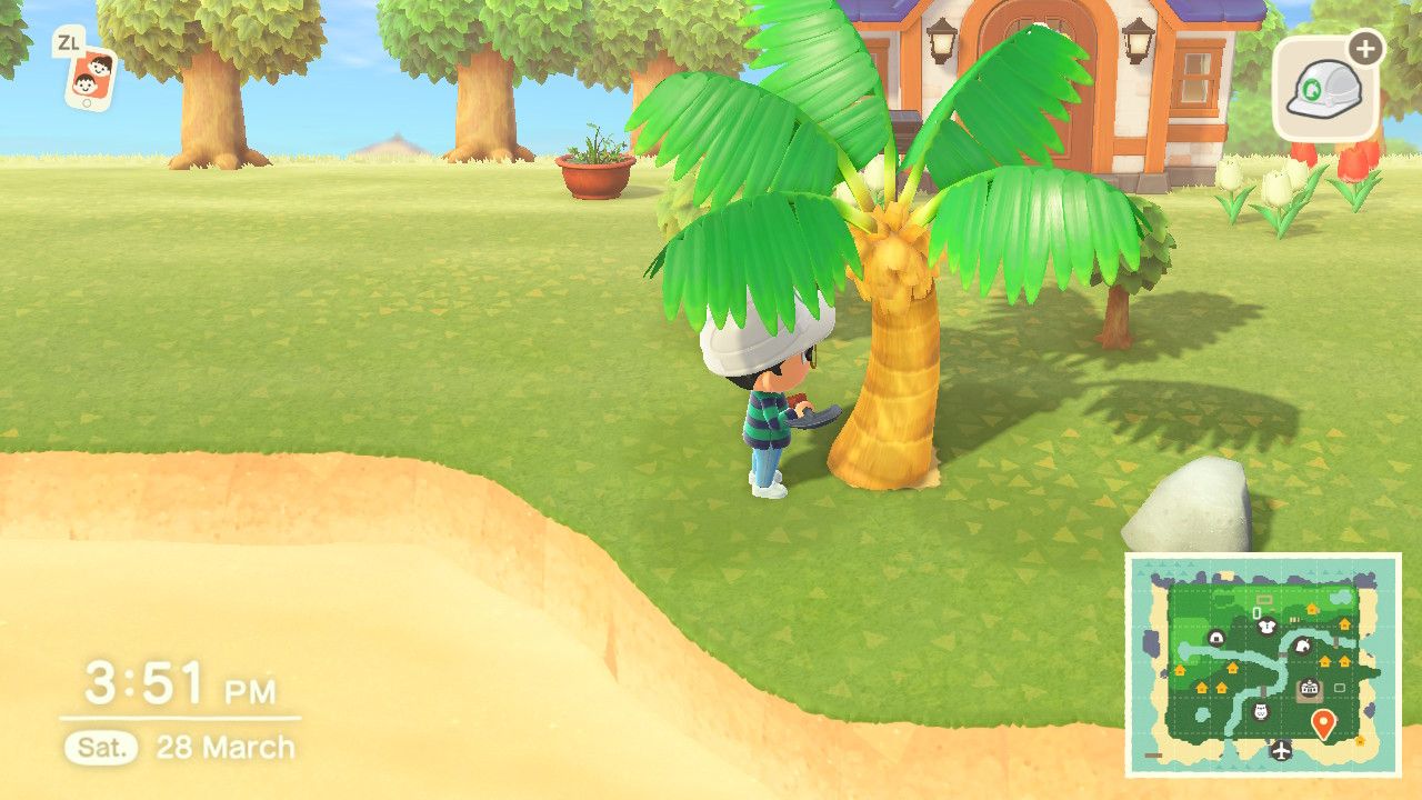 Animal Crossing World 🛩️🏝️ on Twitter "You can now plant Coconut Trees