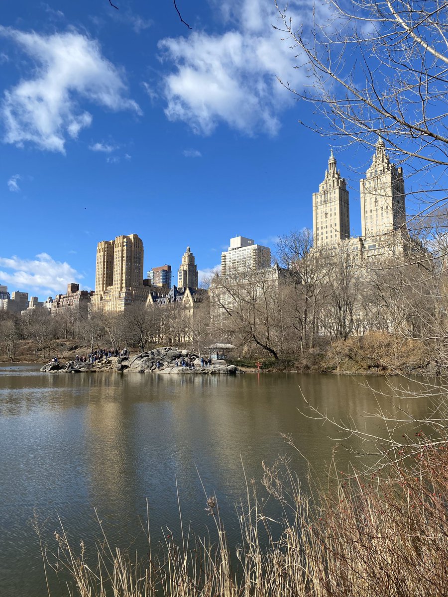 Rick Evans tweet media