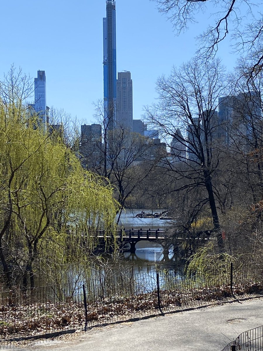 Rick Evans tweet media