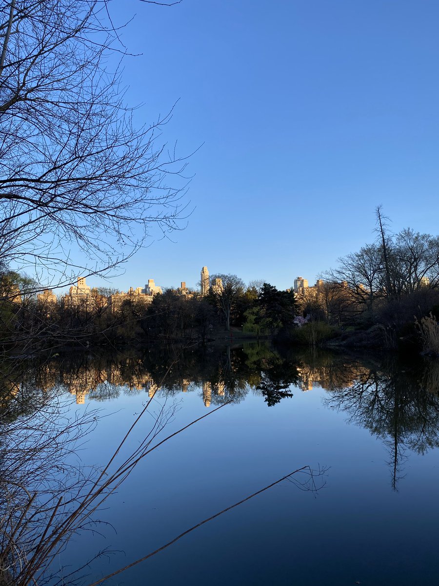 Rick Evans tweet media