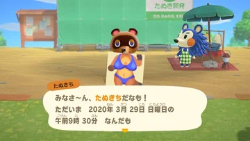 画像 / Picture