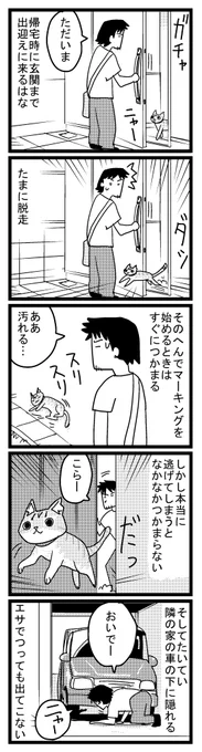 24 だっそうはな 
