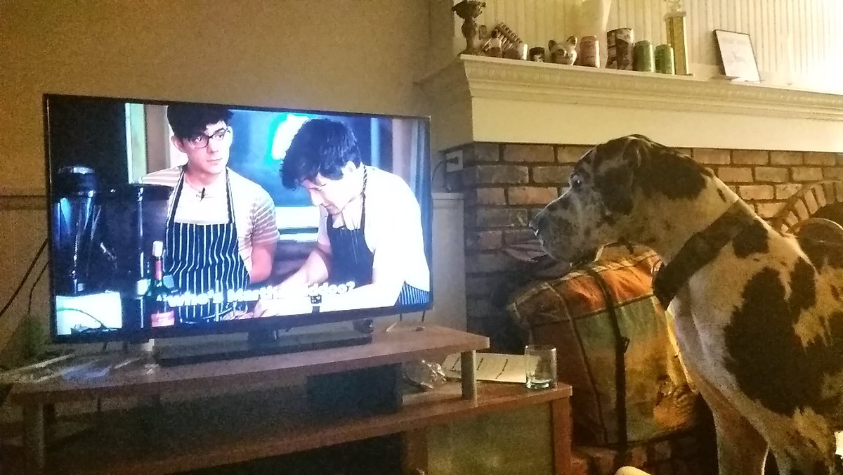 ornithohuntress's tweet photo. Gideon was judged a little harshly I think, he just wanted to learn how to cook beef Wellington. @markiplier straight yelled at him. @CrankGameplays at least gave him a chance. #UnusAnnus #poorpupper #loyalviewer #greatestdane https://t.co/obqDVJaF6G