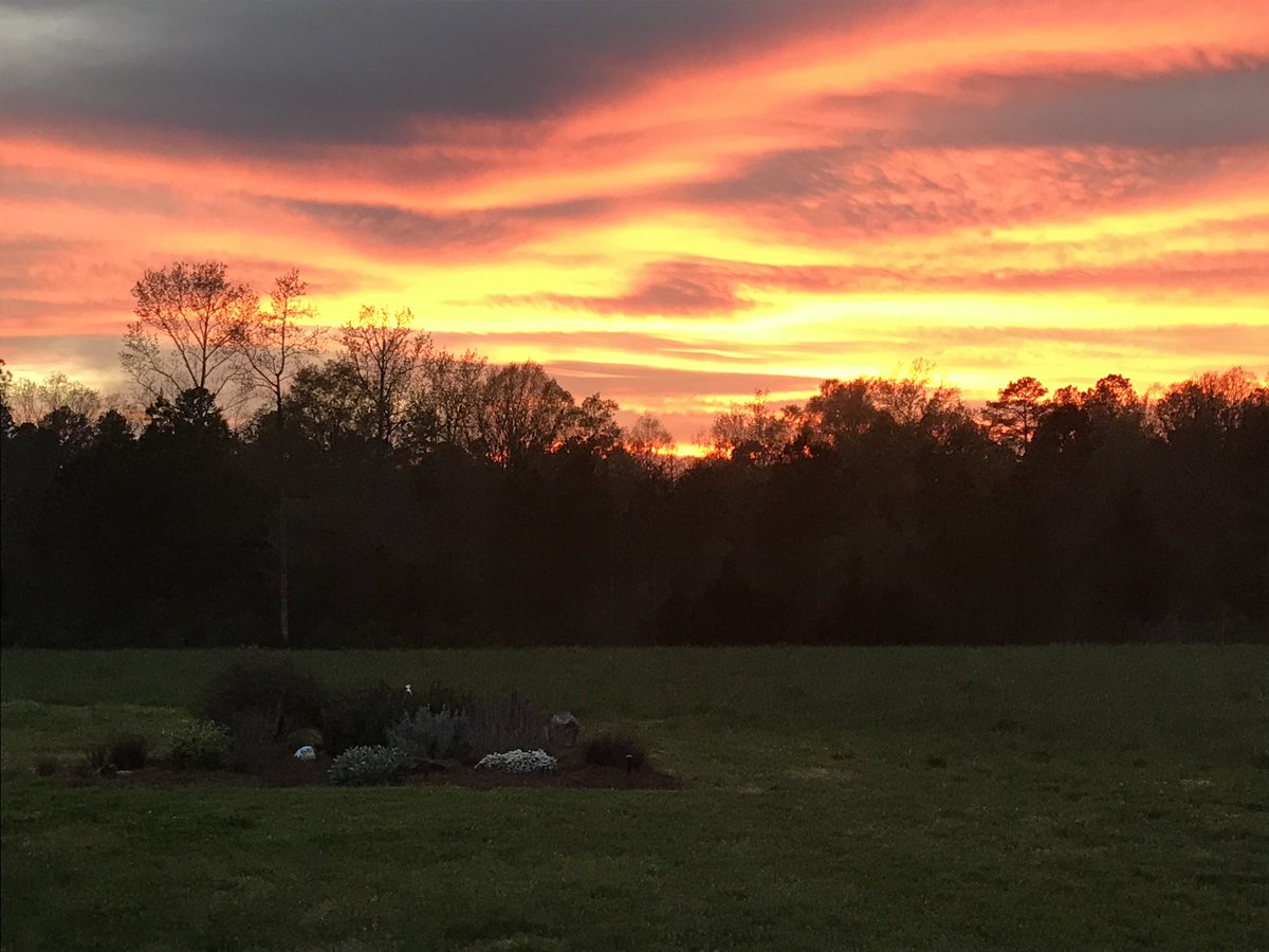 Chuck Swannack tweet media