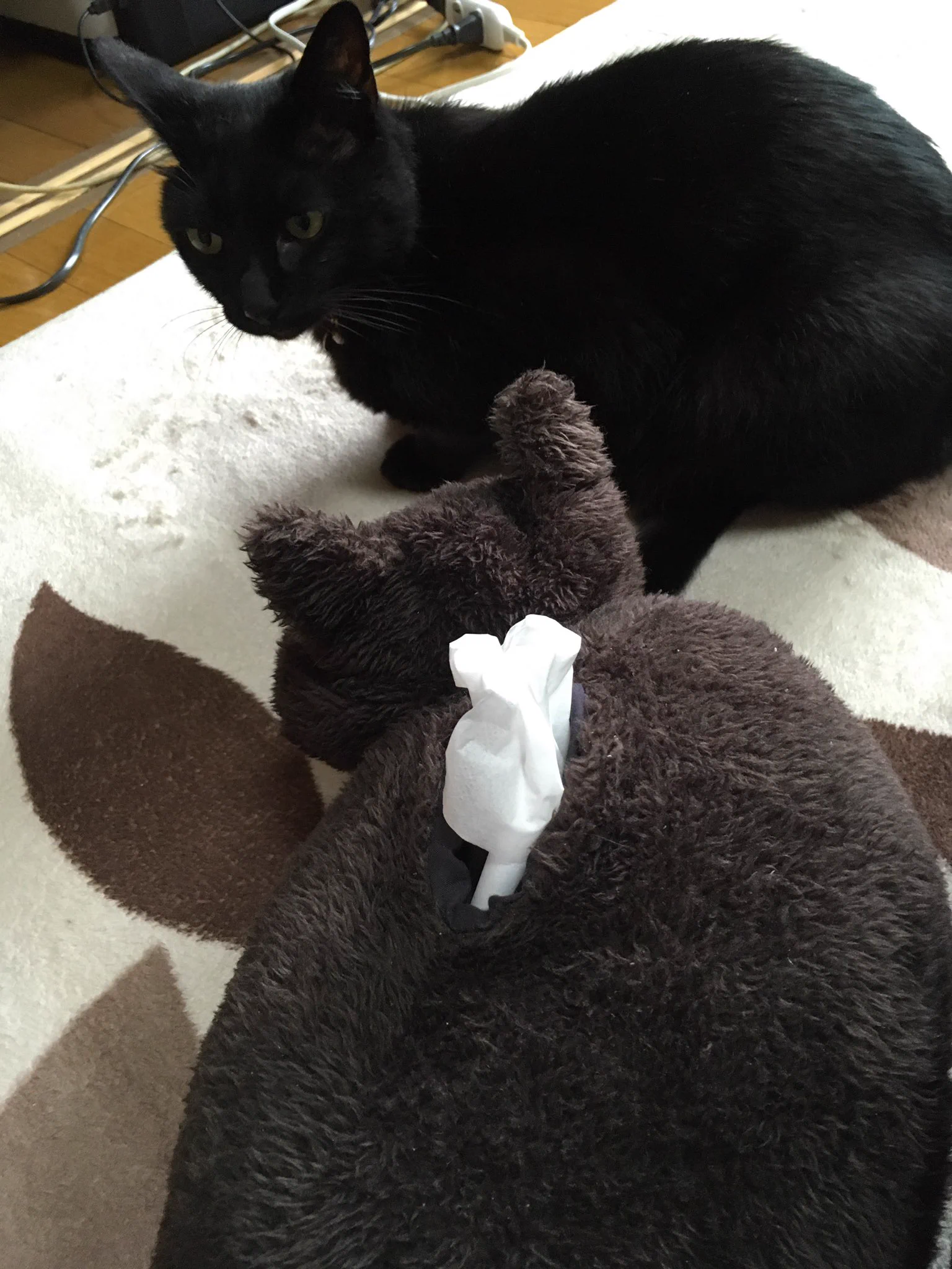 ティッシュと間違われてしまった猫がかわいいwww