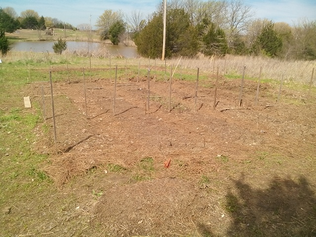 RandyDa25687858's tweet photo. #HowToStayHumble #CoronaVirusGardeningTip (CVGT)= Dig a Hole in Some Dirt.  Plant a Seed in It.🧐 https://t.co/jeXLFiW3PZ