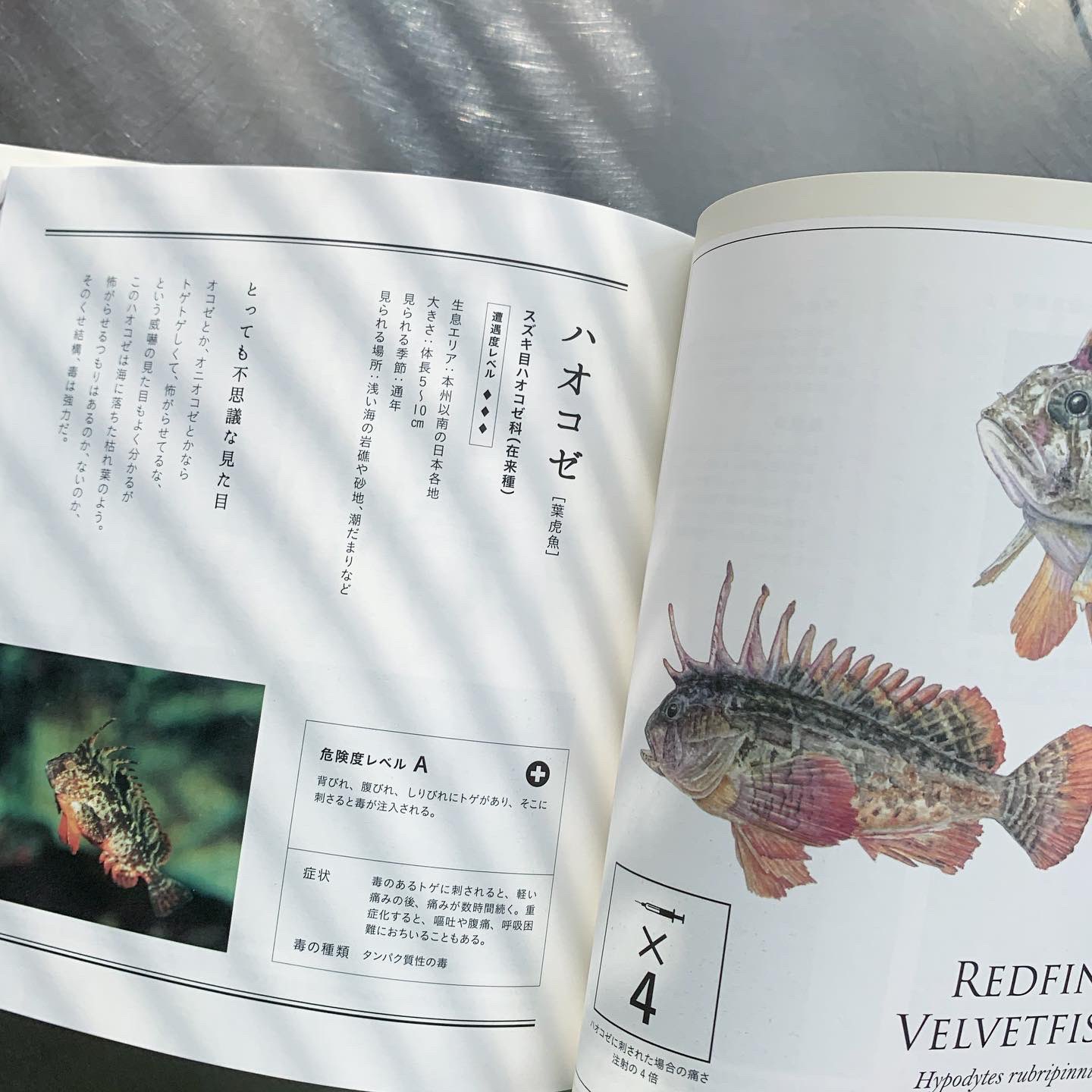 451books 以前ご紹介した 子どもと一緒に覚えたい シリーズは貝と鳥でしたが 毒生物の名前 と 道草の名前 もあります この本の素敵なところは その生物が絵で描かれているところです 写真も掲載されていますが その絵は芸術 その上 解説も 451books 以前ご紹介した 子どもと一緒に覚えたい シリーズは貝と鳥でしたが 毒生物の名前 と 道草の名前 もあります この本の素敵なところは その生物が絵で描かれているところです 写真も掲載されていますが その絵は芸術 その上 解説も