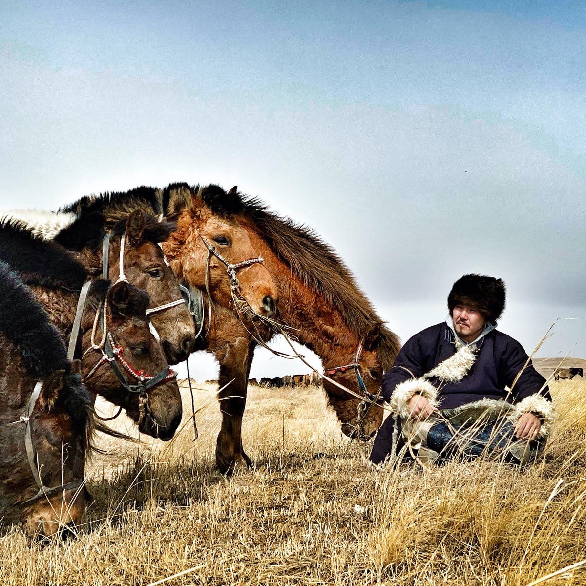 Хөдөө л явмаар санагдаад байх юмдаа...