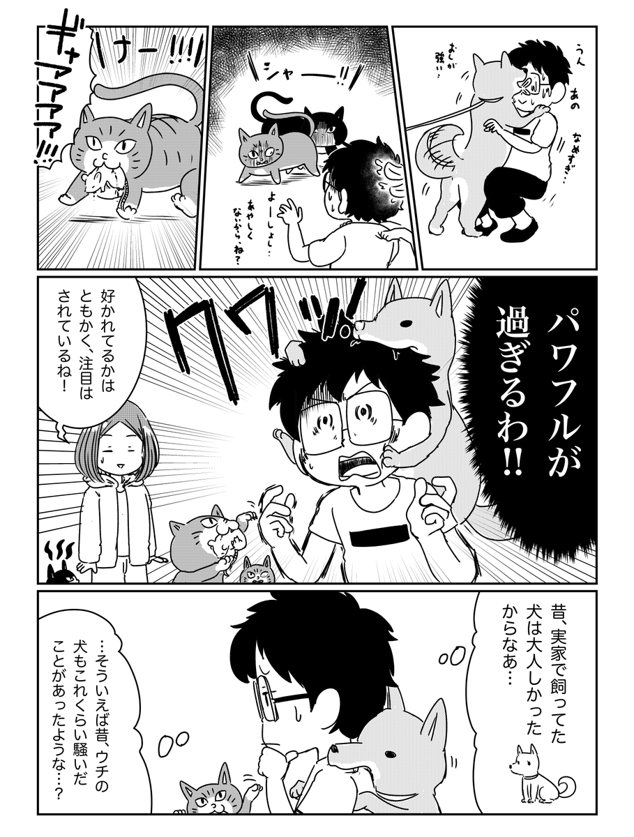 犬と猫と共に田舎で暮らすエッセイ漫画(2019年初出)
#漫画が読めるハッシュタグ 1/7 