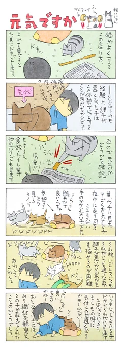 「元気」
猫がこちらの事を知り尽くしているように、
こちらも猫の事を猫本人よりも
知ろうという気持ちで。
(久保智昭さんの「猫色スケッチブック」)他一枚更新しています。⇒https://t.co/Sd4B5DJylM 