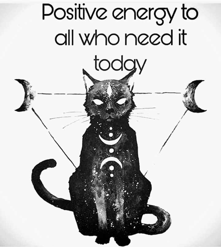 WaylonFord's tweet image. 