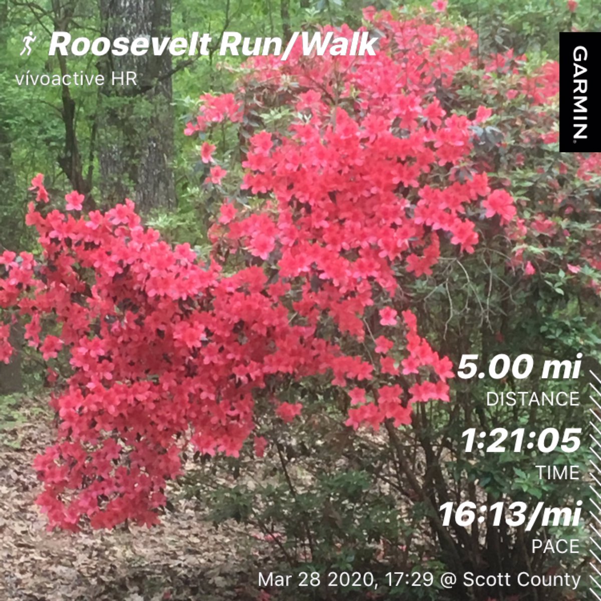 MLCrotwell's tweet photo. A run in the woods with @tcrotwell.  I may have done a whole LOT of walking and taken a short cut. https://t.co/bDlHa0c690